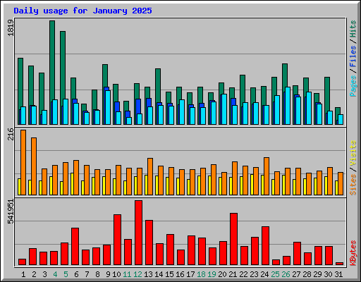 Daily usage for January 2025
