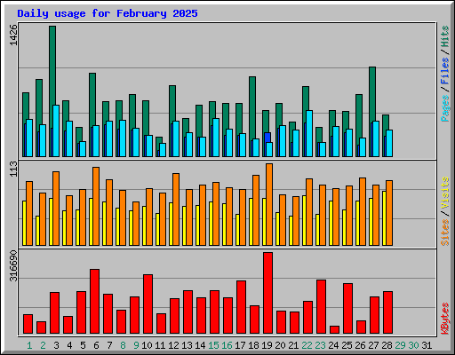 Daily usage for February 2025
