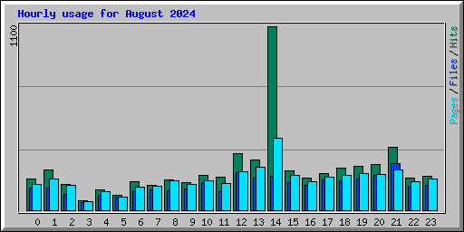 Hourly usage for August 2024