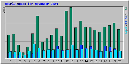 Hourly usage for November 2024