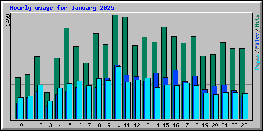 Hourly usage for January 2025