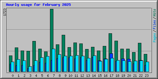 Hourly usage for February 2025
