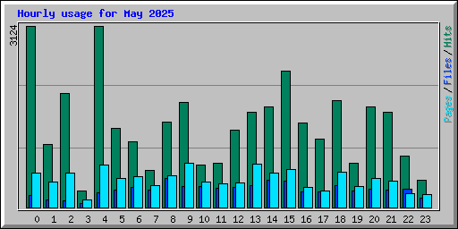 Hourly usage for May 2025