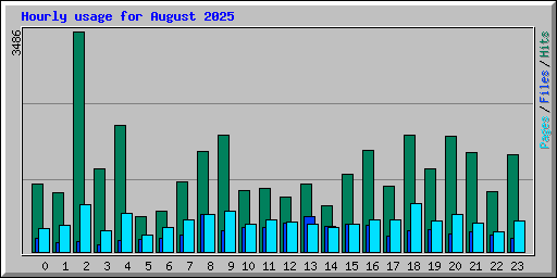 Hourly usage for August 2025