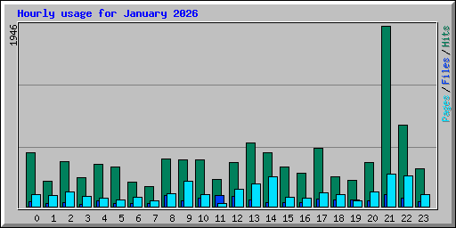 Hourly usage for January 2026