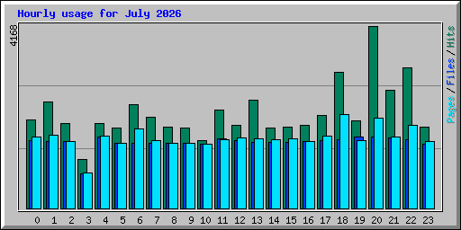Hourly usage for July 2026