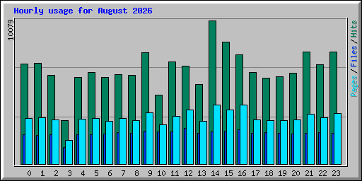 Hourly usage for August 2026
